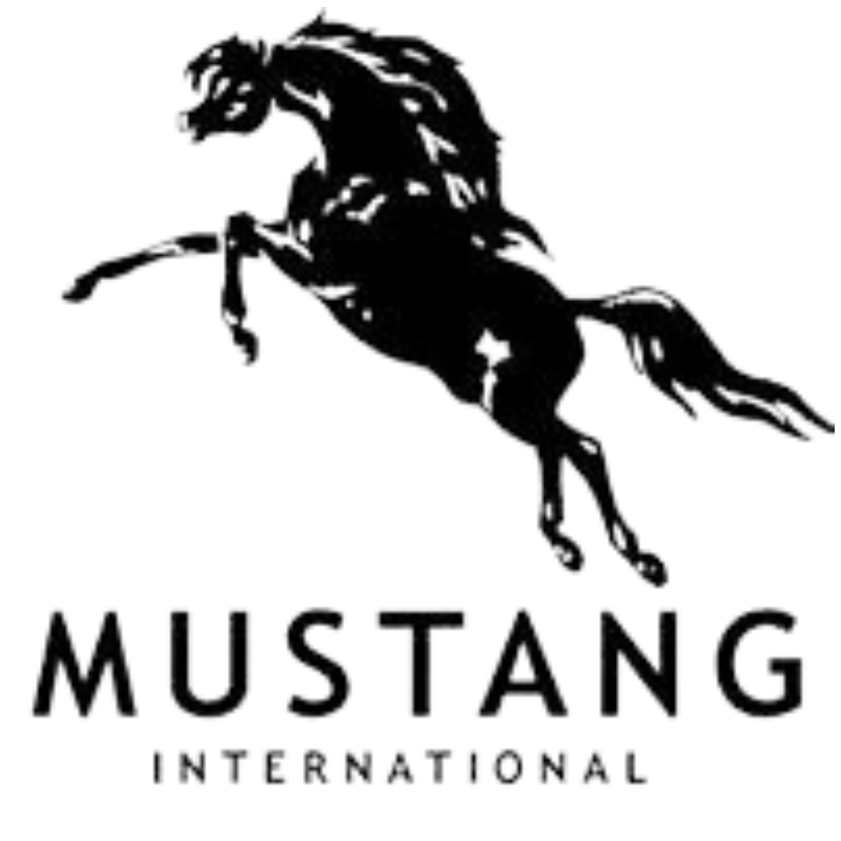 Mustang International
