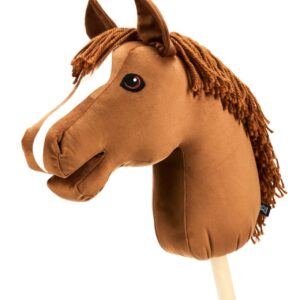 My Hobby Horse Kæphest Caristo