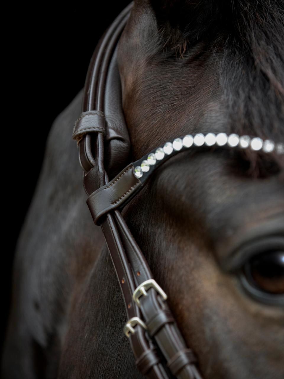 CATAGO Gentle bridle pandebånd - Billede 4
