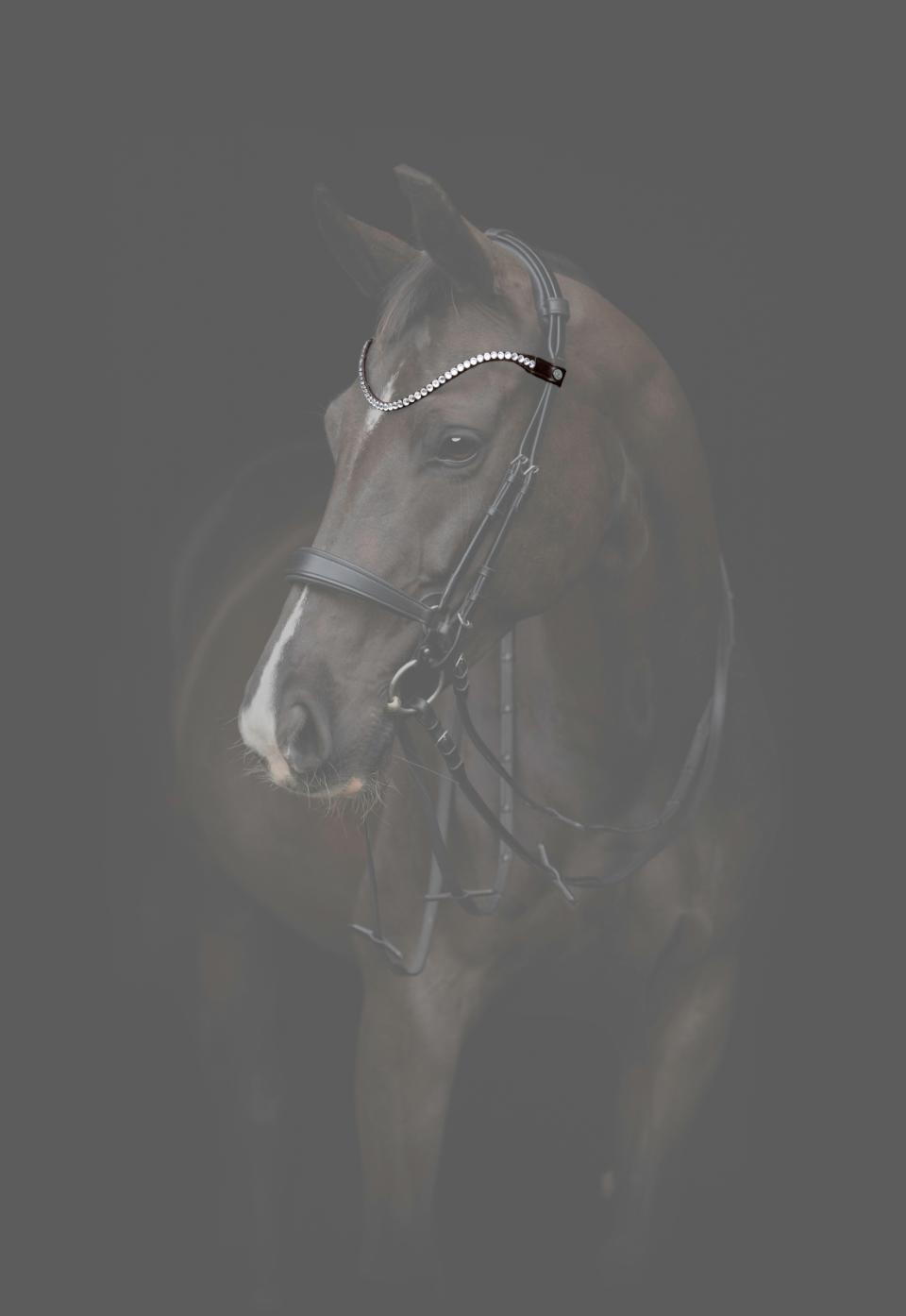CATAGO Gentle bridle pandebånd - Billede 2