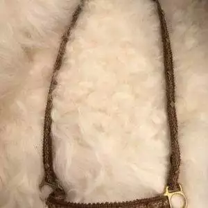 Brown & gold nylon showhalter