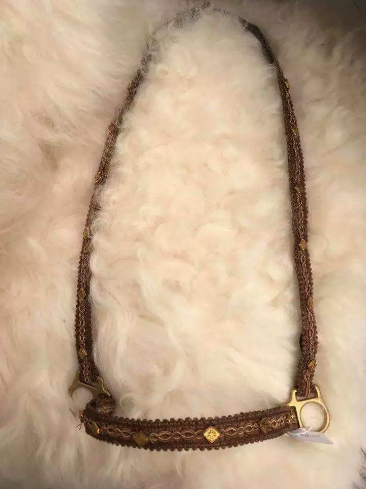 Brown & gold nylon showhalter