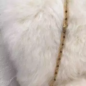 Tigereye cream & gold nylon showhalter