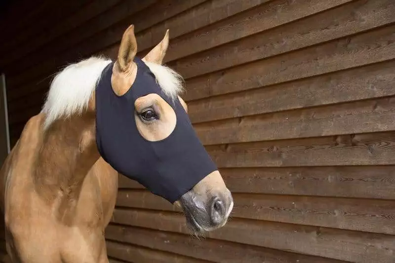 Catago FIR-Tech healing maske
