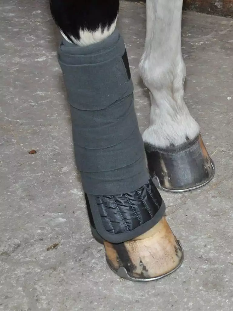 Mink Horse Bandager af luksus-fleece med velcro lukning, 4-set