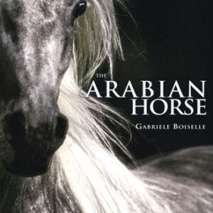 The Arabian Horse (Gabrielle Boiselle)