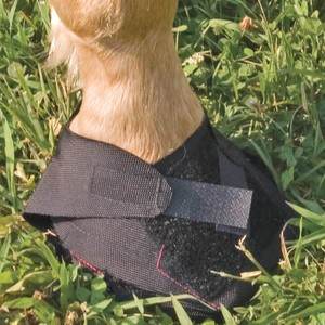 Hoof Wraps™ Gele indlæg