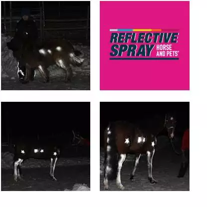 Albedo100 Refleks Spray Horse and Pets™