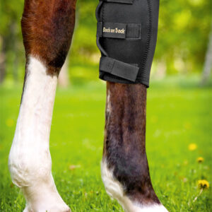 Knæbandage til hest