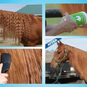 Ultra® Magic Detangler