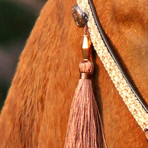 Scottsdale Brown
