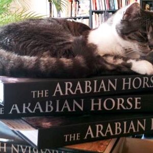 The Arabian Horse (Gabrielle Boiselle)